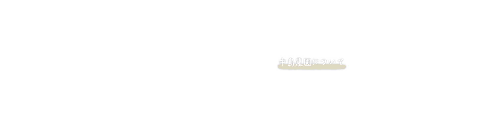 中島農園について